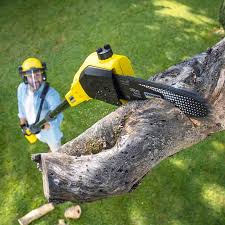 Best Lawn Mowing  in Kalida, OH